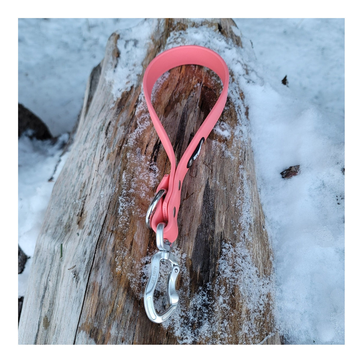 Get Dirty Pet Gear 1" Wide Adventure Carabiner Biothane Traffic Leash｜狗帶｜加拿大直送-寵物牽引繩-毛孩物語Pets Thing｜香港寵物貓狗用品專門店：IATA寵物飛機籠、寵物手推車、貓爬架貓樹