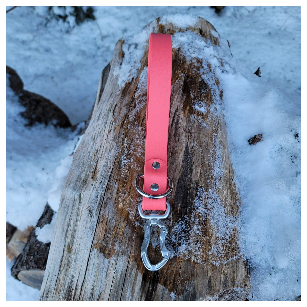 Get Dirty Pet Gear 1" Wide Adventure Carabiner Biothane Traffic Leash｜狗帶｜加拿大直送-寵物牽引繩-毛孩物語Pets Thing｜香港寵物貓狗用品專門店：IATA寵物飛機籠、寵物手推車、貓爬架貓樹