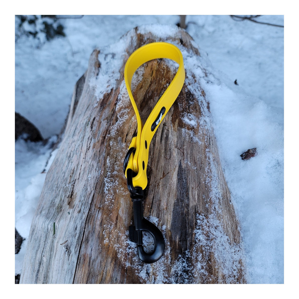 Get Dirty Pet Gear 1" Wide Traditional Bolt Snap Biothane Traffic Leash｜狗帶｜加拿大直送 主產品圖