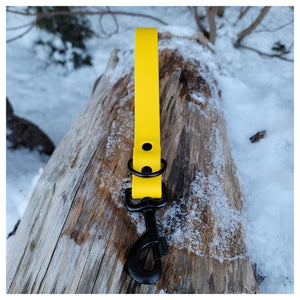 Get Dirty Pet Gear 1" Wide Traditional Bolt Snap Biothane Traffic Leash｜狗帶｜加拿大直送 產品細節圖 2