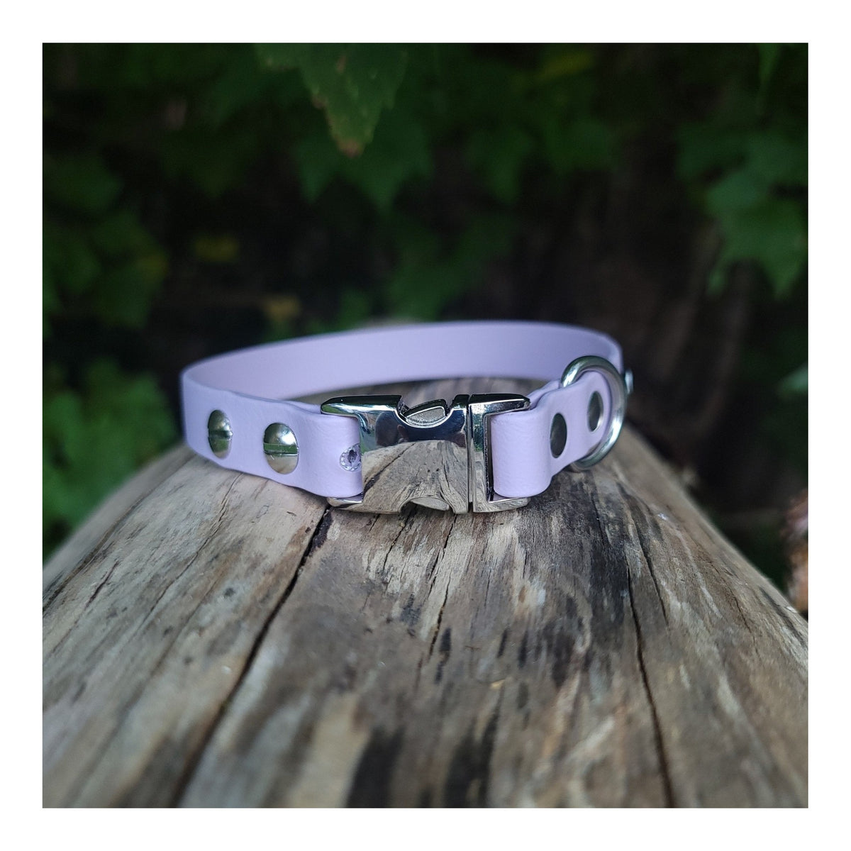 Get Dirty Pet Gear 5/8" Wide Quick Release Biothane Dog Collar｜狗狗頸圈｜加拿大直送 主產品圖