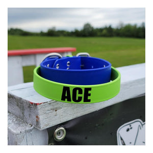Get Dirty Pet Gear 1.5" Wide Work & Sport Biothane Dog Collar with Handle｜狗狗頸圈｜加拿大直送-寵物頸圈-毛孩物語Pets Thing｜香港寵物貓狗用品專門店：IATA寵物飛機籠、寵物手推車、貓爬架貓樹