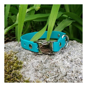 Get Dirty Pet Gear 3/4" Wide Quick Release Biothane Collar｜狗狗頸圈｜加拿大直送-寵物頸圈-毛孩物語Pets Thing｜香港寵物貓狗用品專門店：IATA寵物飛機籠、寵物手推車、貓爬架貓樹