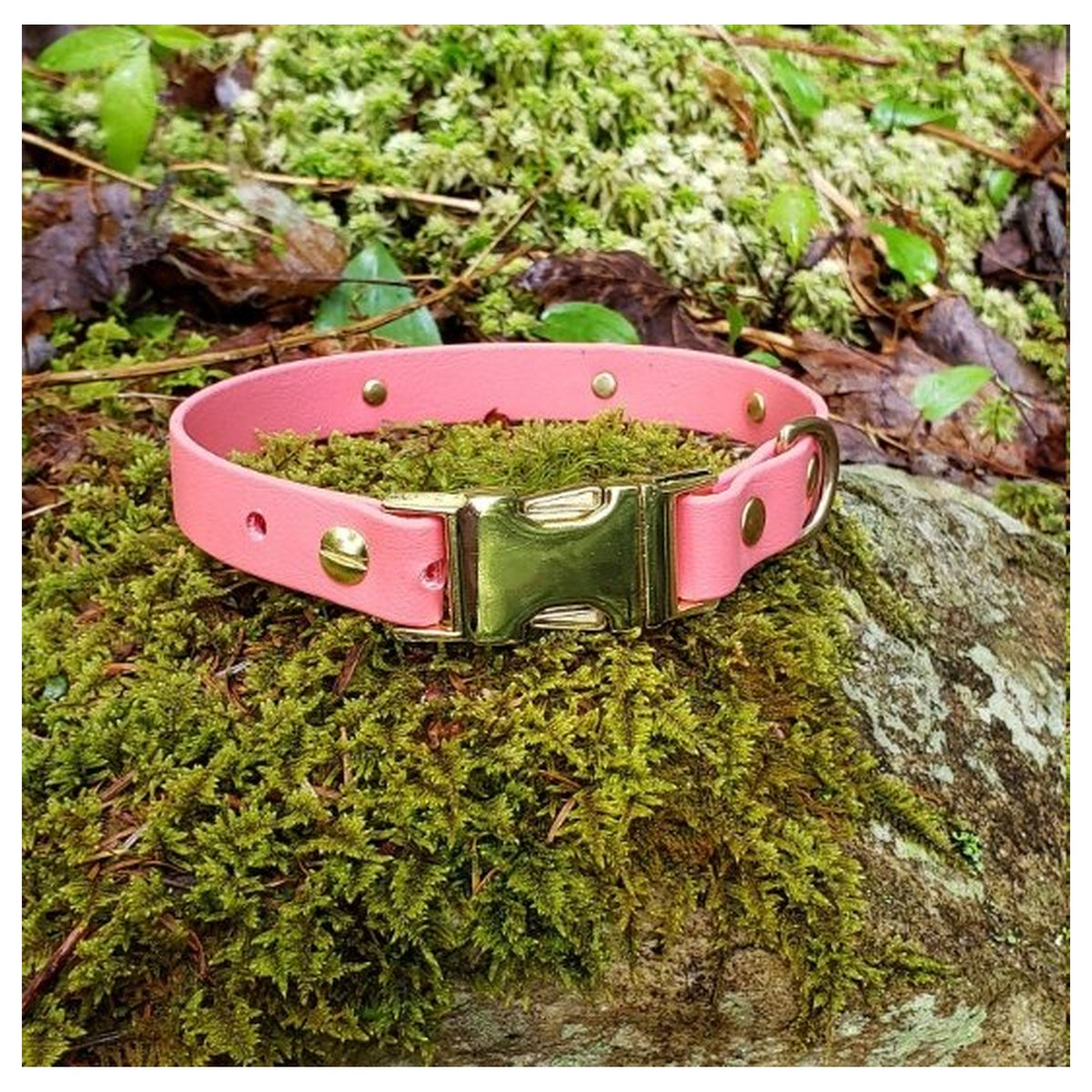 Get Dirty Pet Gear 3/4" Wide Quick Release Biothane Collar｜狗狗頸圈｜加拿大直送 產品細節圖 2