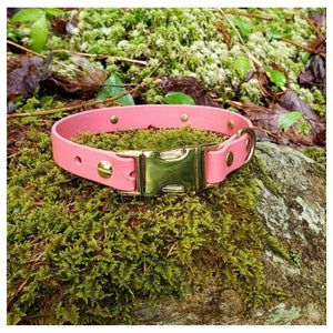 Get Dirty Pet Gear 3/4" Wide Quick Release Biothane Collar｜狗狗頸圈｜加拿大直送-寵物頸圈-毛孩物語Pets Thing｜香港寵物貓狗用品專門店：IATA寵物飛機籠、寵物手推車、貓爬架貓樹