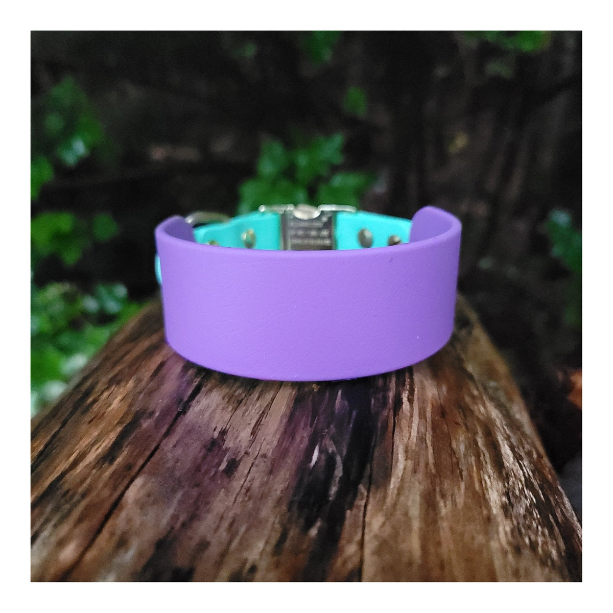 Get Dirty Pet Gear 1.5" Wide Tapered Down Quick Release Biothane Collar｜狗狗頸圈｜加拿大直送-寵物頸圈-毛孩物語Pets Thing｜香港寵物貓狗用品專門店：IATA寵物飛機籠、寵物手推車、貓爬架貓樹