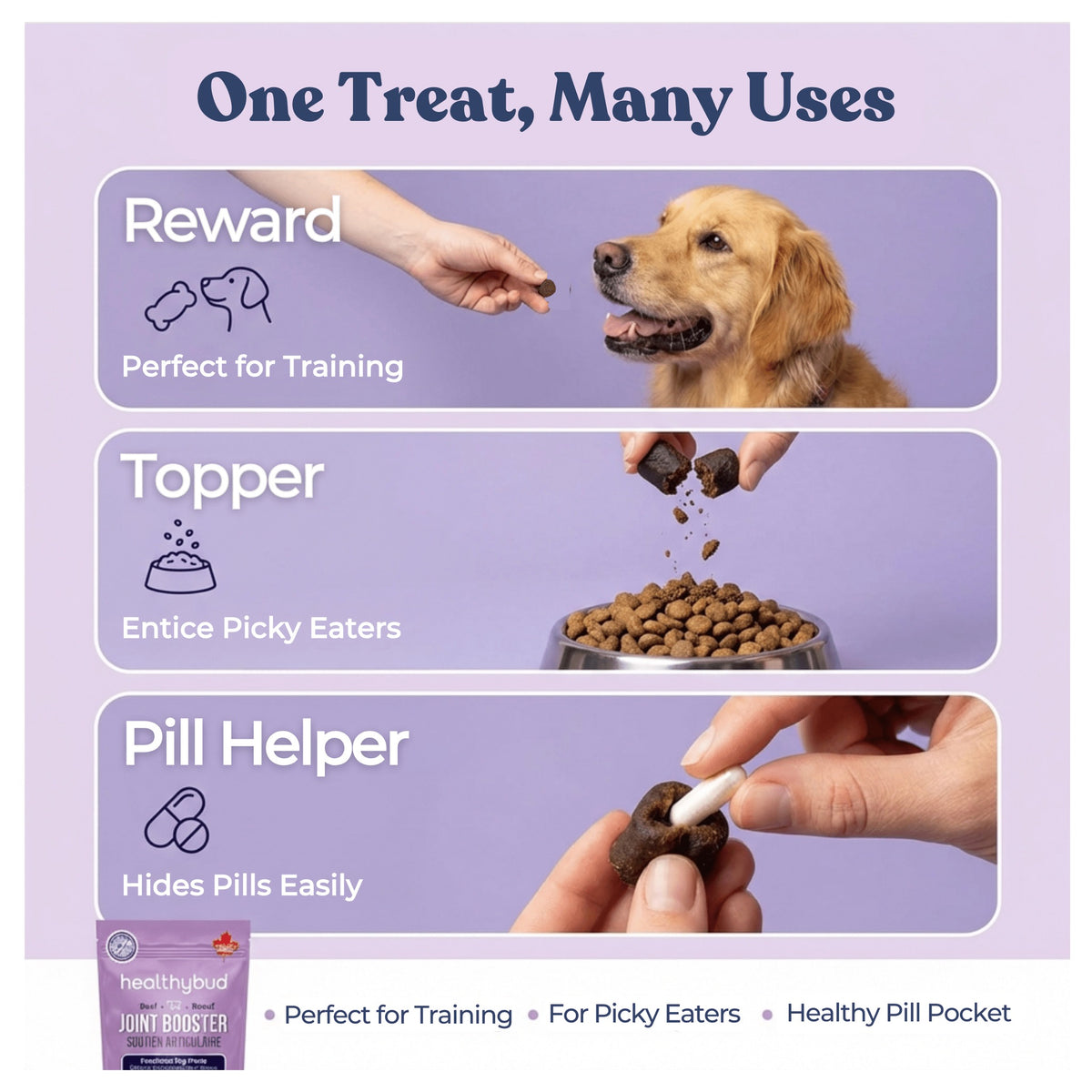 Healthybud Beef Joint Booster｜狗狗零食｜加拿大直送-狗-毛孩物語Pets Thing｜香港寵物貓狗用品專門店：IATA寵物飛機籠、寵物手推車、貓爬架貓樹