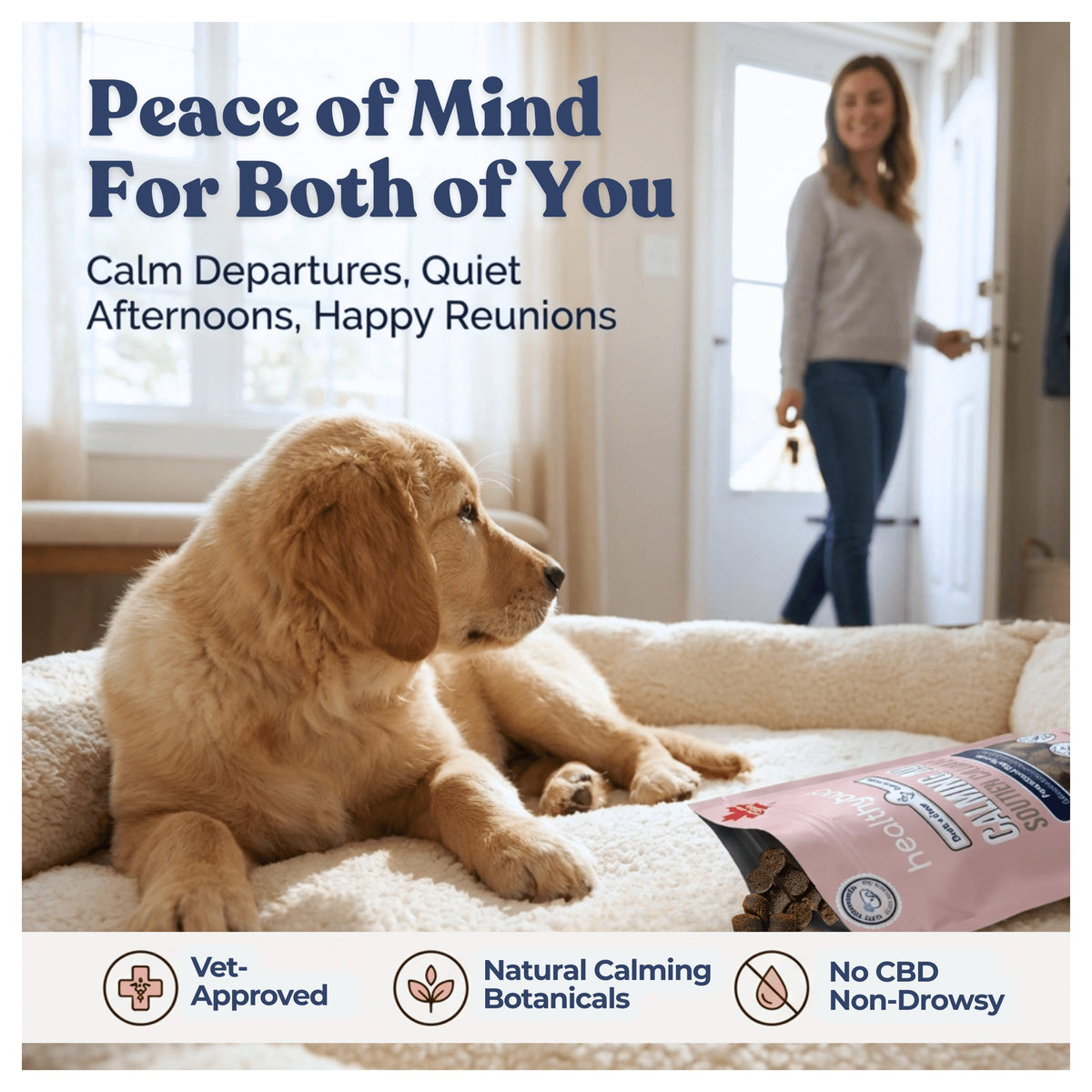 Healthybud Duck Calming Aid｜狗狗零食｜加拿大直送-狗-毛孩物語Pets Thing｜香港寵物貓狗用品專門店：IATA寵物飛機籠、寵物手推車、貓爬架貓樹