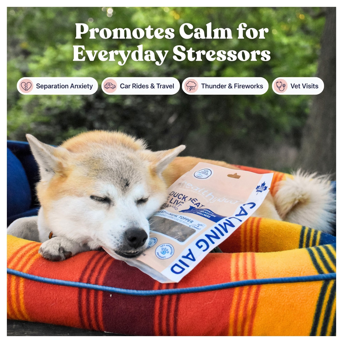 Healthybud Duck Calming Aid｜狗狗零食｜加拿大直送-狗-毛孩物語Pets Thing｜香港寵物貓狗用品專門店：IATA寵物飛機籠、寵物手推車、貓爬架貓樹