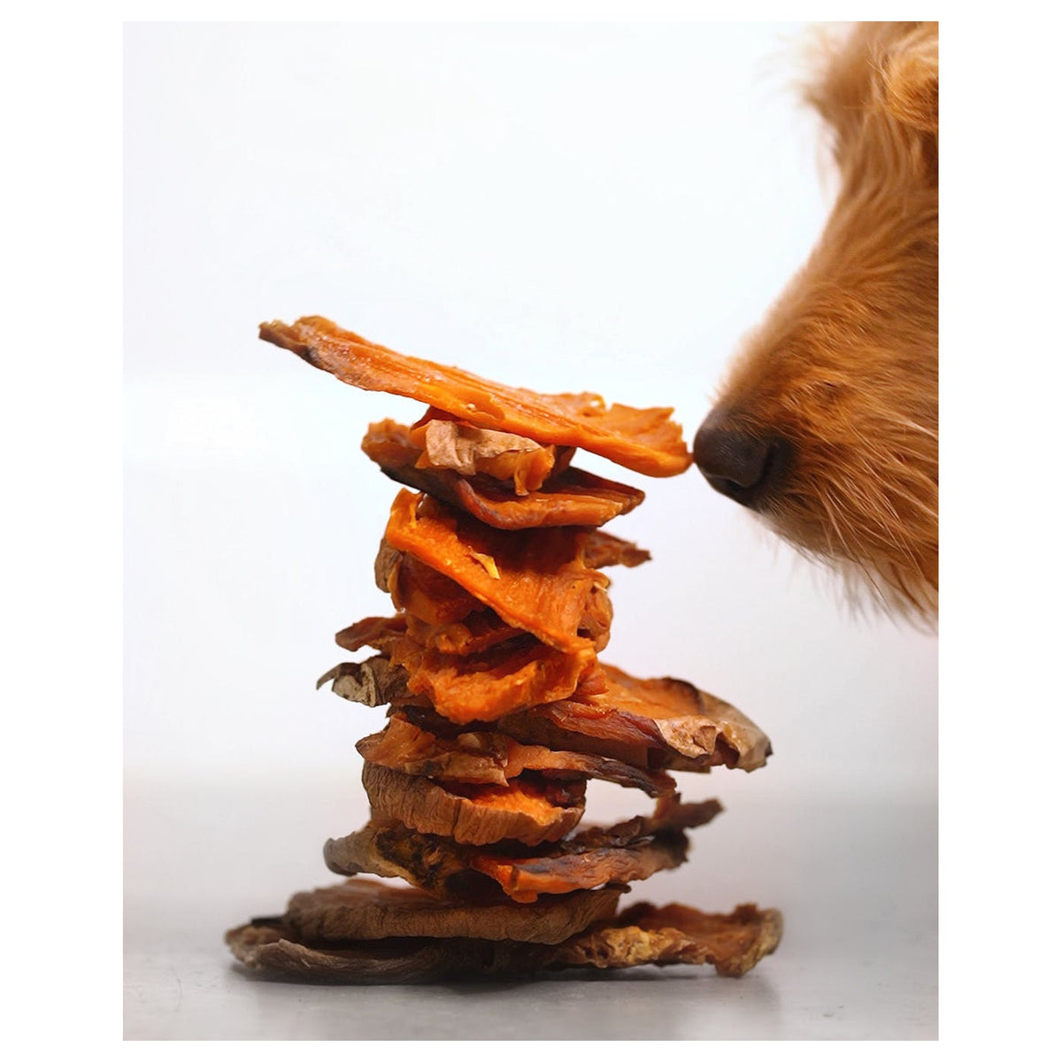 Healthybud Sweet Potato Chews｜狗狗零食｜加拿大直送-狗-毛孩物語Pets Thing｜香港寵物貓狗用品專門店：IATA寵物飛機籠、寵物手推車、貓爬架貓樹