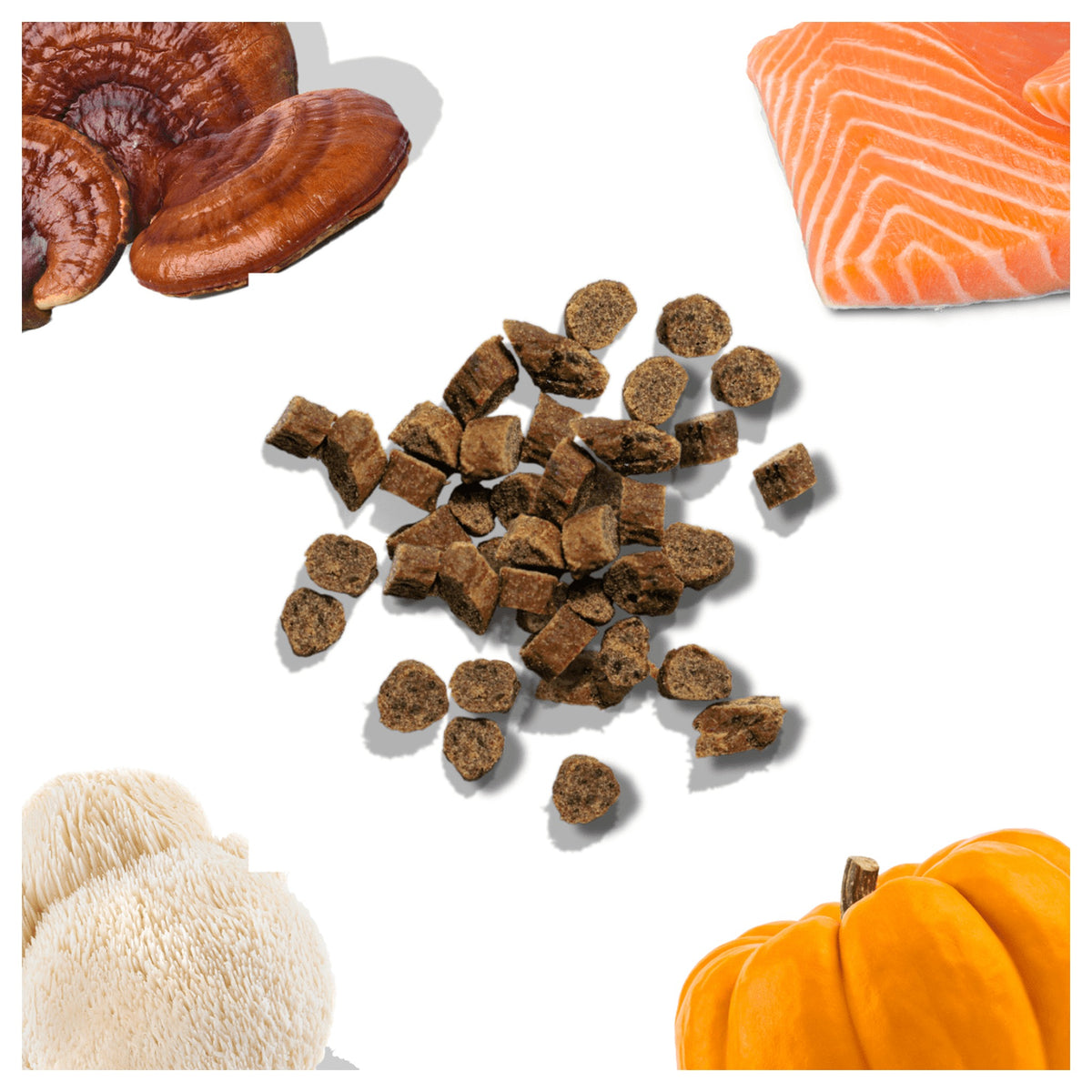 Healthybud Salmon Mini Training Treats｜狗狗零食｜加拿大直送-狗-毛孩物語Pets Thing｜香港寵物貓狗用品專門店：IATA寵物飛機籠、寵物手推車、貓爬架貓樹
