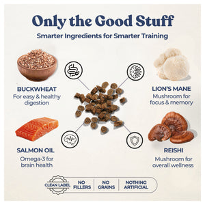 Healthybud Salmon Mini Training Treats｜狗狗零食｜加拿大直送-狗-毛孩物語Pets Thing｜香港寵物貓狗用品專門店：IATA寵物飛機籠、寵物手推車、貓爬架貓樹
