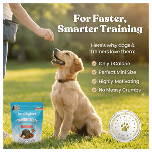 Healthybud Salmon Mini Training Treats｜狗狗零食｜加拿大直送-狗-毛孩物語Pets Thing｜香港寵物貓狗用品專門店：IATA寵物飛機籠、寵物手推車、貓爬架貓樹