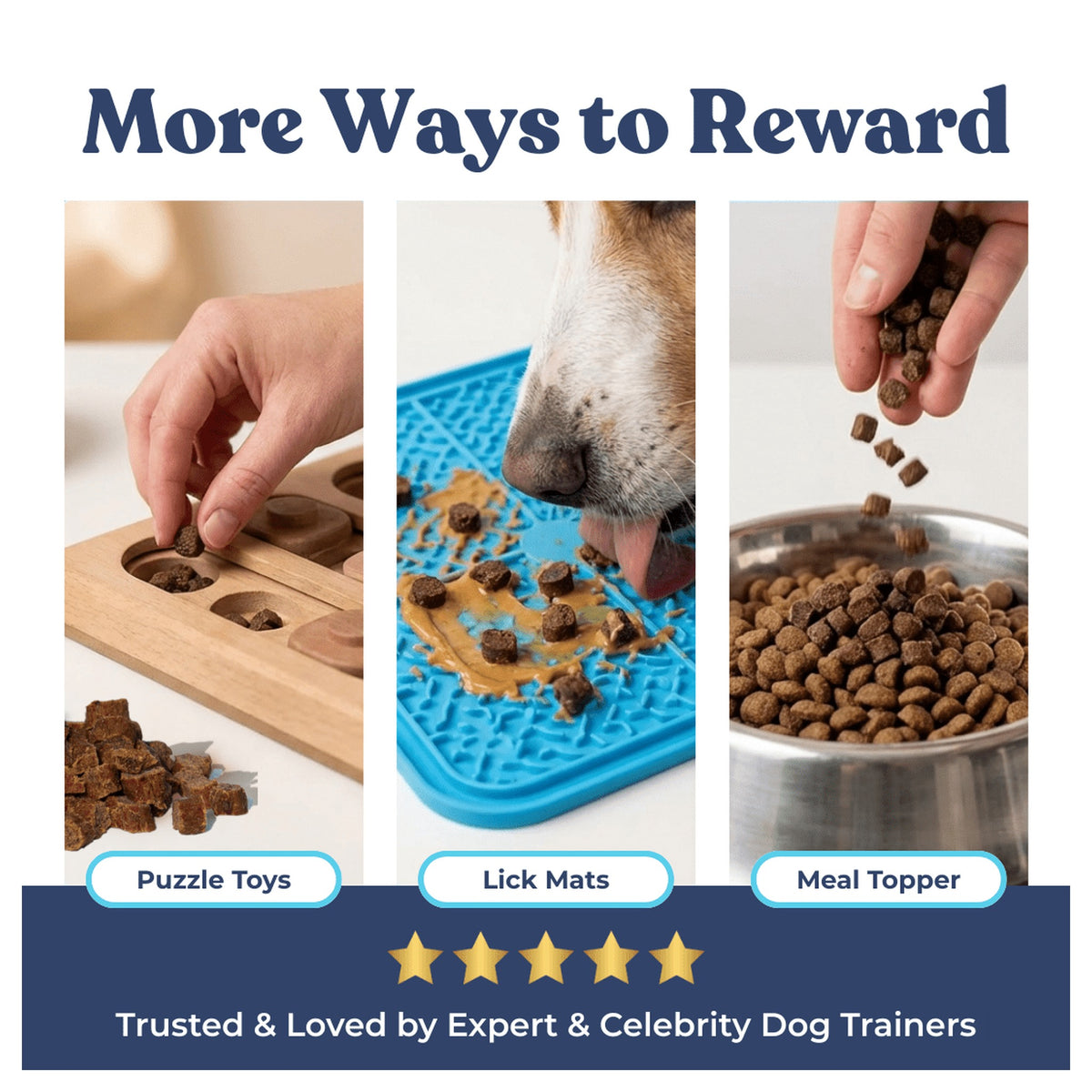 Healthybud Salmon Mini Training Treats｜狗狗零食｜加拿大直送-狗-毛孩物語Pets Thing｜香港寵物貓狗用品專門店：IATA寵物飛機籠、寵物手推車、貓爬架貓樹