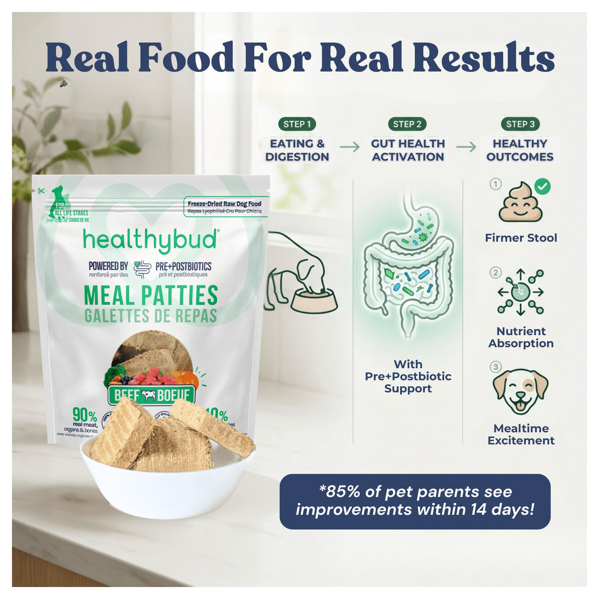 Healthybud Beef Meal Patties｜狗狗食品｜加拿大直送-狗-毛孩物語Pets Thing｜香港寵物貓狗用品專門店：IATA寵物飛機籠、寵物手推車、貓爬架貓樹