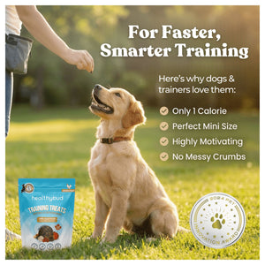 Healthybud Chicken Mini Training Treats｜狗狗零食｜加拿大直送-狗-毛孩物語Pets Thing｜香港寵物貓狗用品專門店：IATA寵物飛機籠、寵物手推車、貓爬架貓樹
