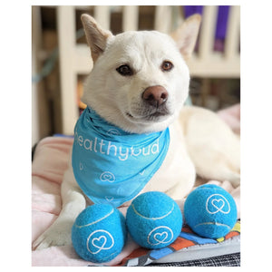 Healthybud Tennis Balls｜狗狗玩具｜加拿大直送-狗-毛孩物語Pets Thing｜香港寵物貓狗用品專門店：IATA寵物飛機籠、寵物手推車、貓爬架貓樹