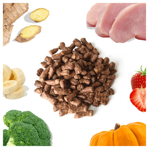 Healthybud Turkey Meal Bites｜狗狗食品｜加拿大直送-狗-毛孩物語Pets Thing｜香港寵物貓狗用品專門店：IATA寵物飛機籠、寵物手推車、貓爬架貓樹