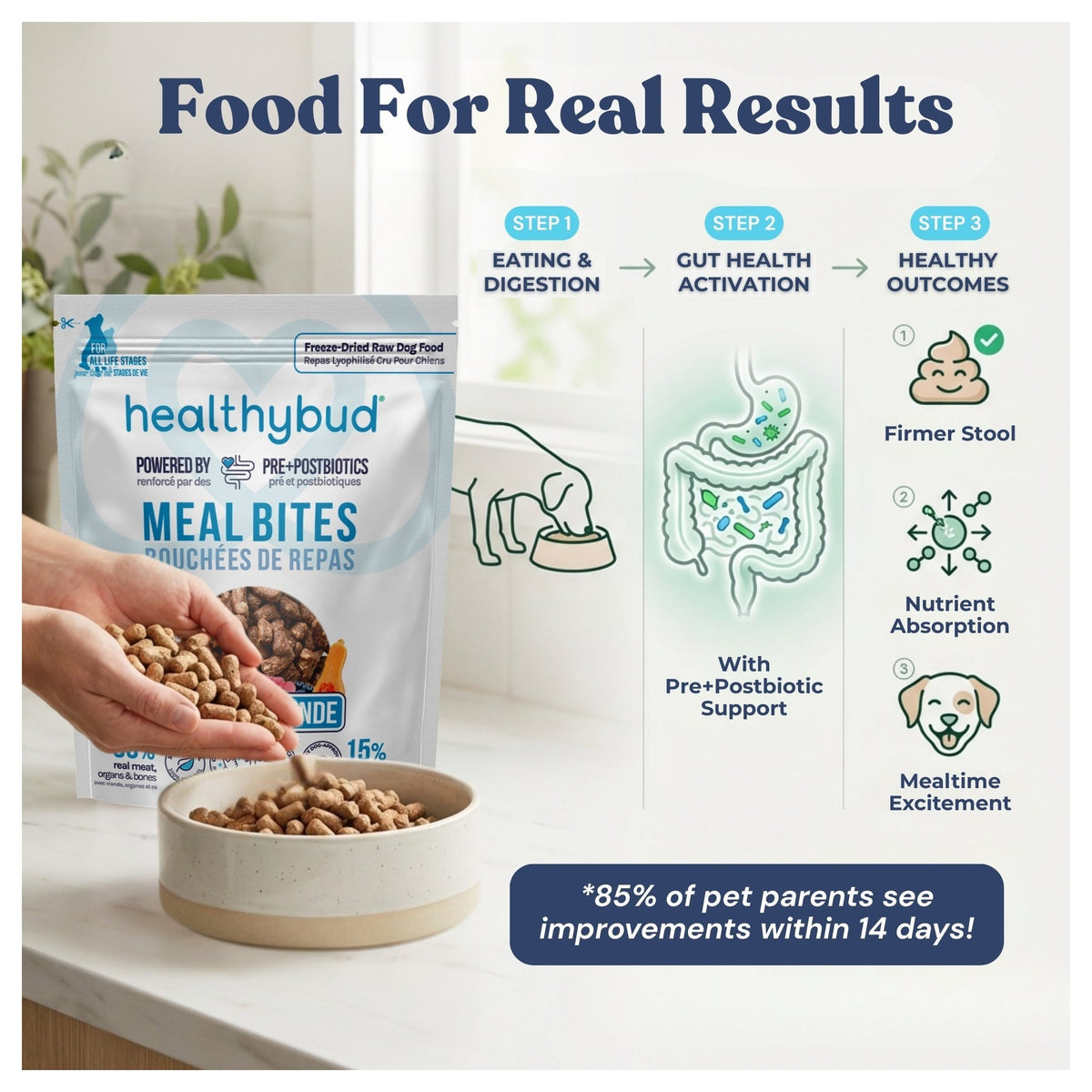 Healthybud Turkey Meal Bites｜狗狗食品｜加拿大直送-狗-毛孩物語Pets Thing｜香港寵物貓狗用品專門店：IATA寵物飛機籠、寵物手推車、貓爬架貓樹