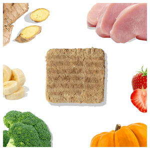 Healthybud Turkey Meal Patties｜狗狗食品｜加拿大直送-狗-毛孩物語Pets Thing｜香港寵物貓狗用品專門店：IATA寵物飛機籠、寵物手推車、貓爬架貓樹