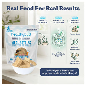 Healthybud Turkey Meal Patties｜狗狗食品｜加拿大直送-狗-毛孩物語Pets Thing｜香港寵物貓狗用品專門店：IATA寵物飛機籠、寵物手推車、貓爬架貓樹