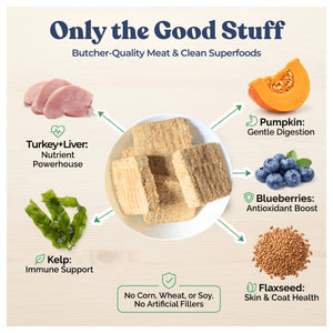 Healthybud Turkey Meal Patties｜狗狗食品｜加拿大直送-狗-毛孩物語Pets Thing｜香港寵物貓狗用品專門店：IATA寵物飛機籠、寵物手推車、貓爬架貓樹