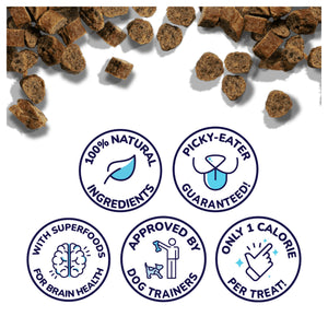 Healthybud Training Treat Variety Pack｜狗狗零食｜加拿大直送-狗-毛孩物語Pets Thing｜香港寵物貓狗用品專門店：IATA寵物飛機籠、寵物手推車、貓爬架貓樹