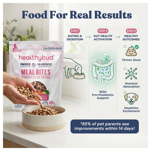 Healthybud Lamb+Salmon Meal Bites｜狗狗食品｜加拿大直送-狗-毛孩物語Pets Thing｜香港寵物貓狗用品專門店：IATA寵物飛機籠、寵物手推車、貓爬架貓樹