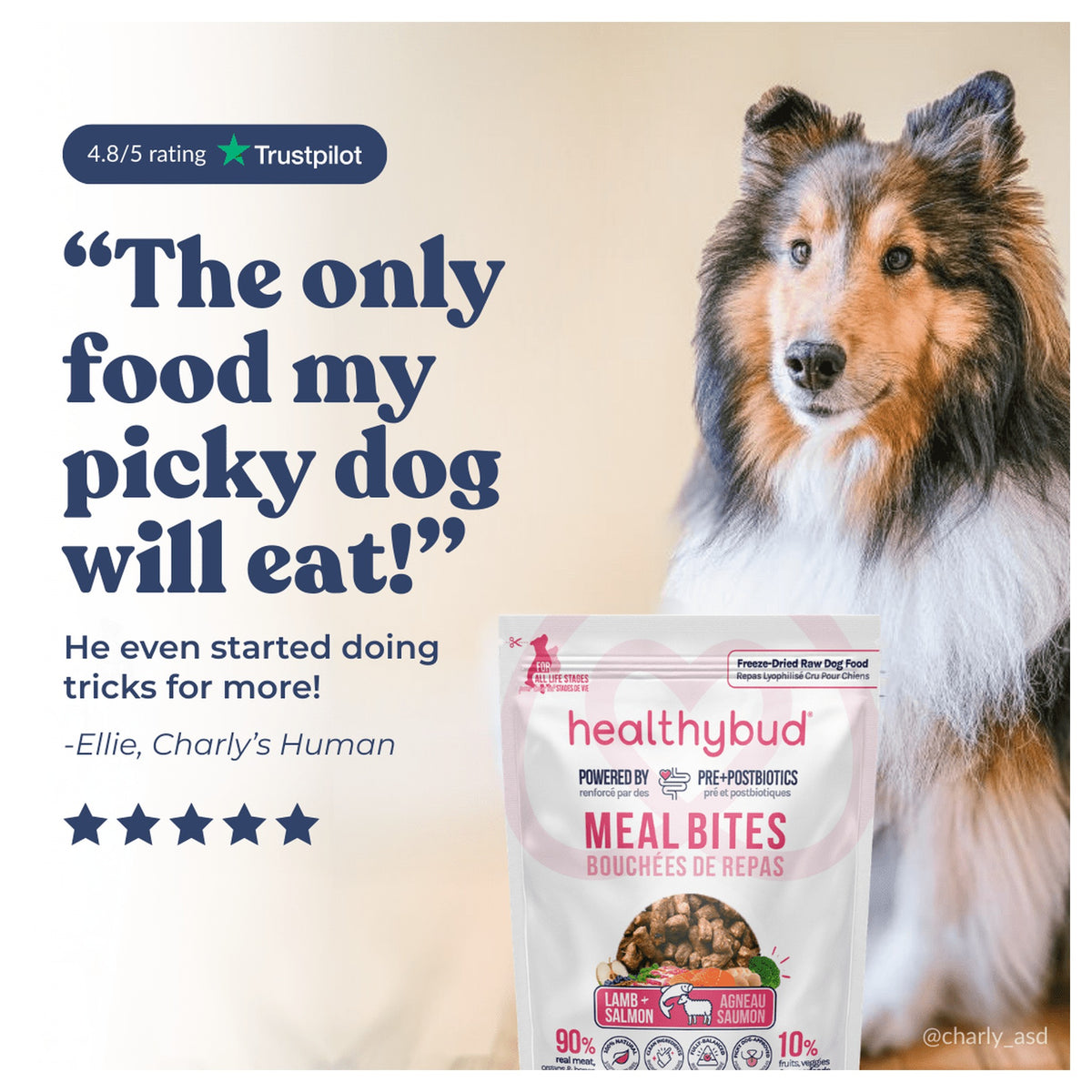 Healthybud Medium Dog Starter Kit (30-Day Supply)｜狗狗食品｜加拿大直送-狗-毛孩物語Pets Thing｜香港寵物貓狗用品專門店：IATA寵物飛機籠、寵物手推車、貓爬架貓樹