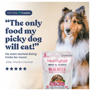 Healthybud Medium Dog Starter Kit (30-Day Supply)｜狗狗食品｜加拿大直送-狗-毛孩物語Pets Thing｜香港寵物貓狗用品專門店：IATA寵物飛機籠、寵物手推車、貓爬架貓樹