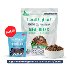 Healthybud Large Dog Starter Kit (30-Day Supply)｜狗狗食品｜加拿大直送 主產品圖