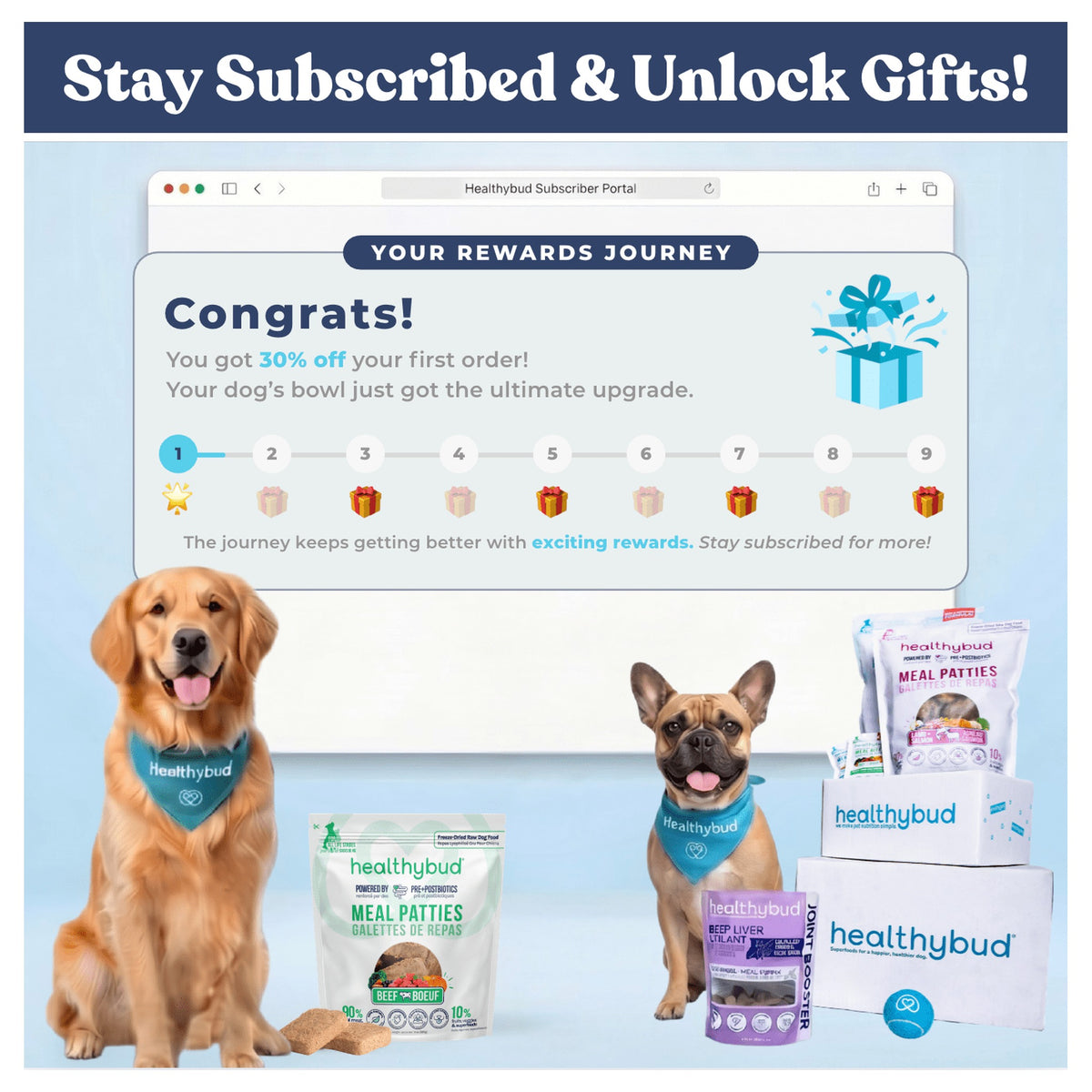 Healthybud Large Dog Starter Kit (30-Day Supply)｜狗狗食品｜加拿大直送 產品細節圖 2