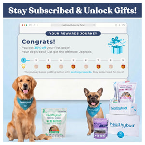 Healthybud Large Dog Starter Kit (30-Day Supply)｜狗狗食品｜加拿大直送 產品細節圖 2