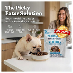 Healthybud Large Dog Starter Kit (30-Day Supply)｜狗狗食品｜加拿大直送 產品細節圖 3