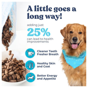 Healthybud Large Dog Starter Kit (30-Day Supply)｜狗狗食品｜加拿大直送 產品細節圖 5