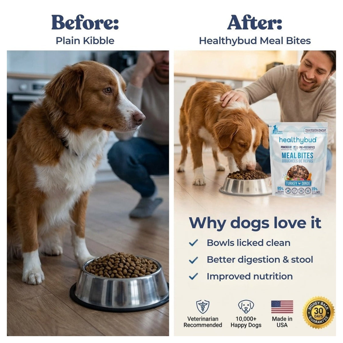 Healthybud Large Dog Starter Kit (30-Day Supply)｜狗狗食品｜加拿大直送 產品細節圖 6