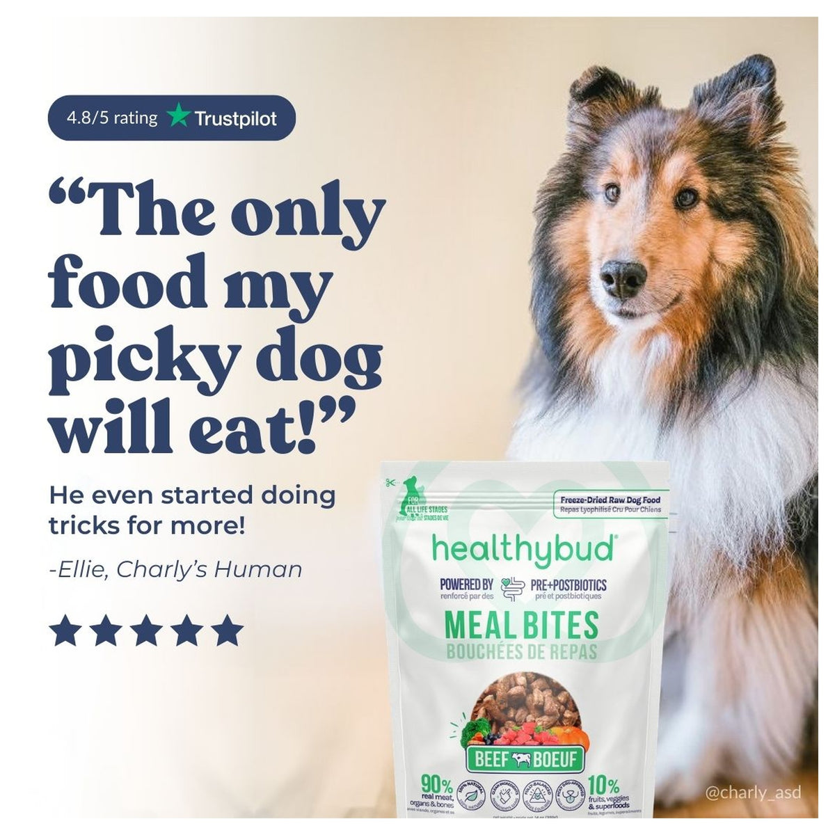 Healthybud Large Dog Starter Kit (30-Day Supply)｜狗狗食品｜加拿大直送 產品細節圖 7