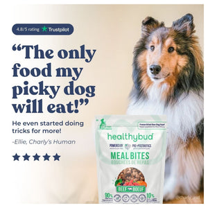Healthybud Large Dog Starter Kit (30-Day Supply)｜狗狗食品｜加拿大直送 產品細節圖 7