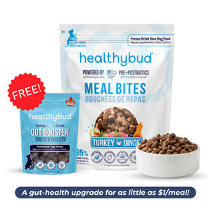 Healthybud Large Dog Starter Kit (30-Day Supply)｜狗狗食品｜加拿大直送 產品細節圖 8