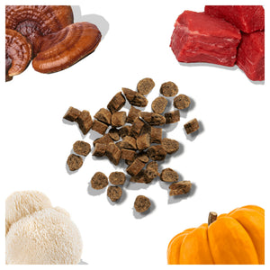 Healthybud Beef Mini Training Treats｜狗狗零食｜加拿大直送-狗-毛孩物語Pets Thing｜香港寵物貓狗用品專門店：IATA寵物飛機籠、寵物手推車、貓爬架貓樹