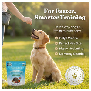 Healthybud Beef Mini Training Treats｜狗狗零食｜加拿大直送-狗-毛孩物語Pets Thing｜香港寵物貓狗用品專門店：IATA寵物飛機籠、寵物手推車、貓爬架貓樹