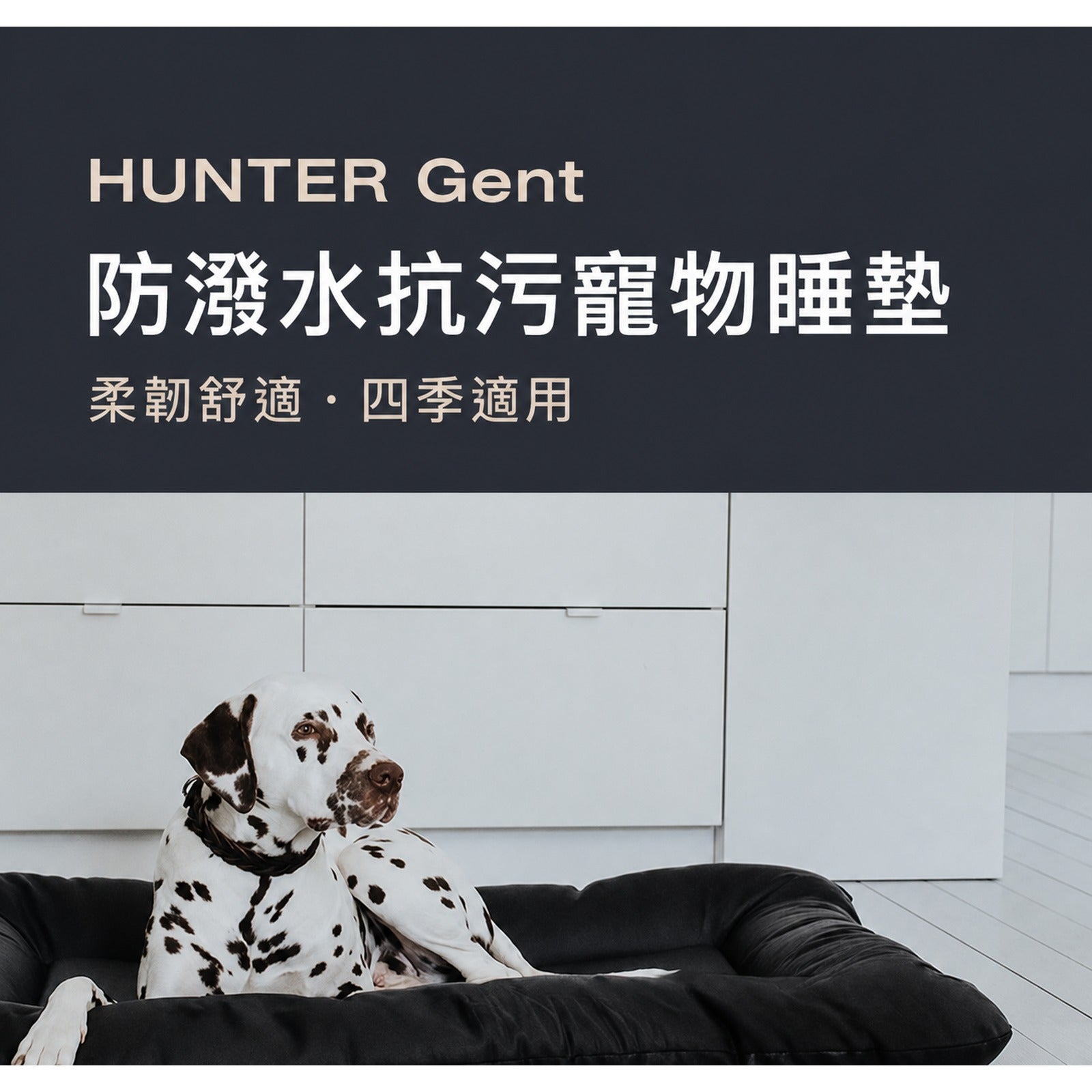 HUNTER Gent 防潑水抗污寵物睡墊繁體中文介紹