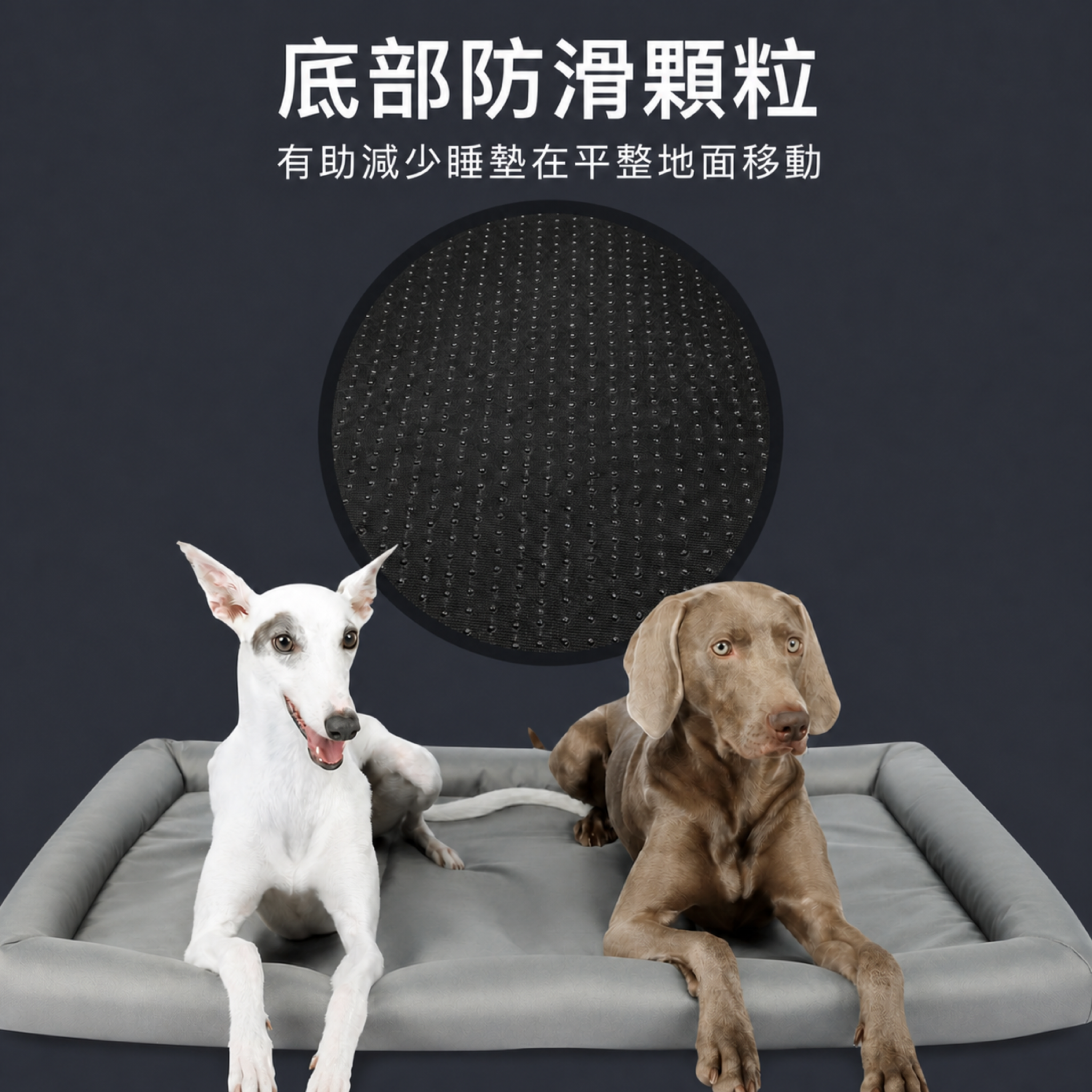HUNTER Vermont 底部防滑顆粒示意