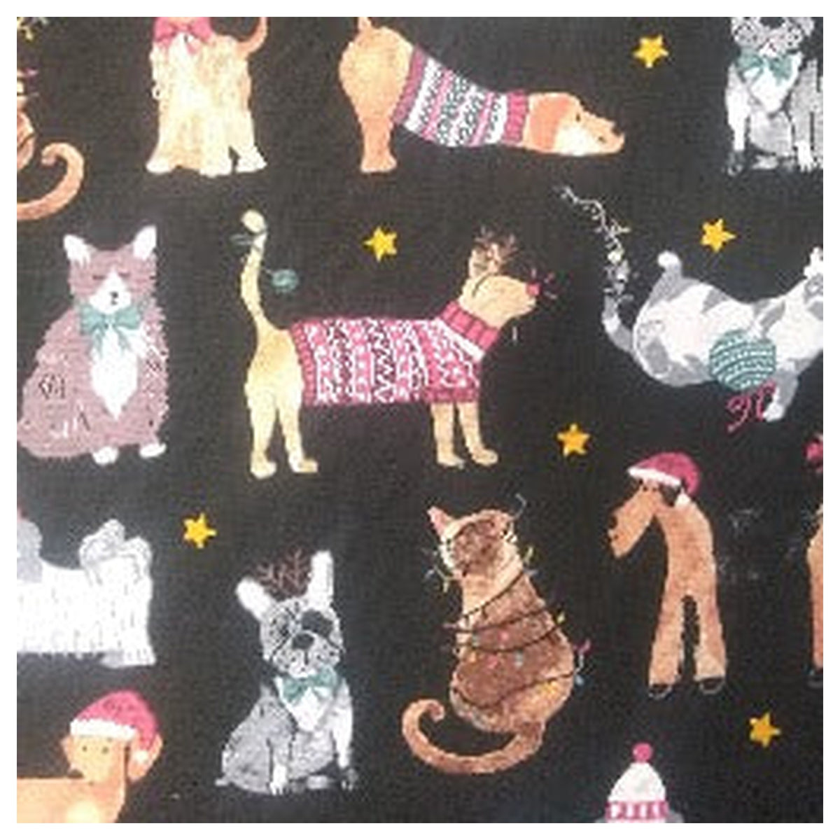 Krazy Kitty Christmas Refillable Catnip Blanket (approx 13”x 21”)｜貓薄荷玩具及貓用植物產品｜加拿大直送 產品細節圖 3