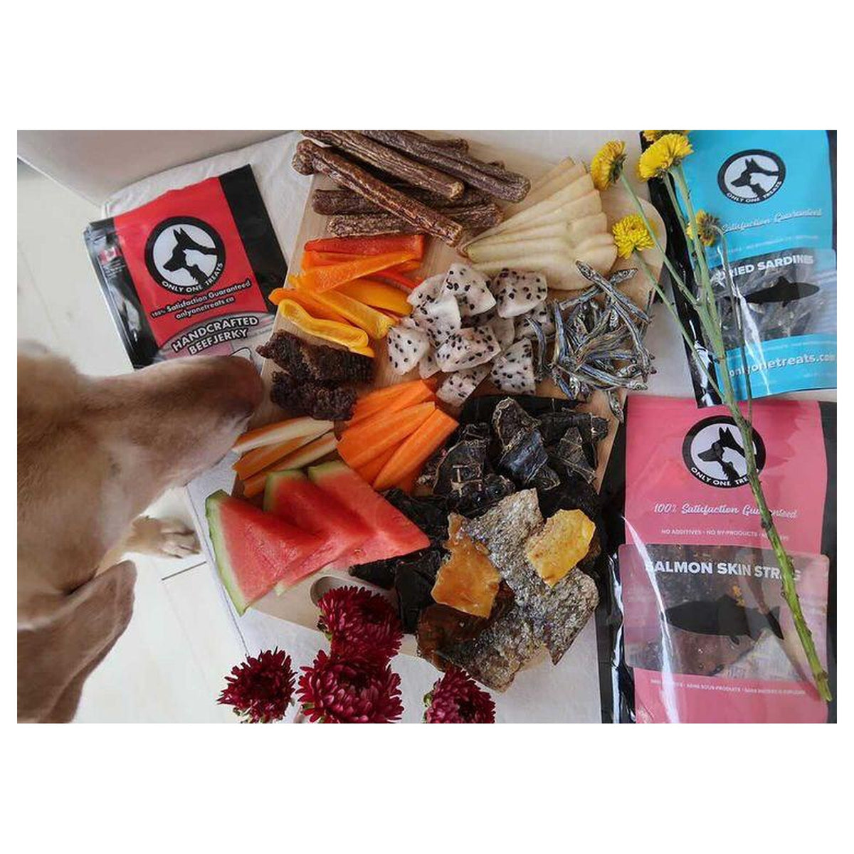 Only One Treats Charcuterie Treat Box｜狗狗零食及咀嚼小食｜加拿大直送-狗-毛孩物語Pets Thing｜香港寵物貓狗用品專門店：IATA寵物飛機籠、寵物手推車、貓爬架貓樹