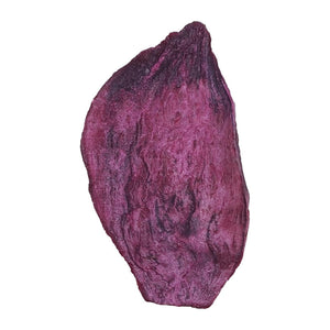 Only One Treats Purple Sweet Potato Slices 100g｜狗狗零食及咀嚼小食｜加拿大直送-狗-毛孩物語Pets Thing｜香港寵物貓狗用品專門店：IATA寵物飛機籠、寵物手推車、貓爬架貓樹