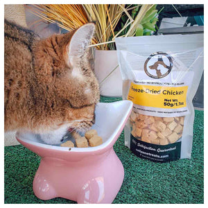 Only One Treats Freeze-Dried Chicken 50g｜貓狗零食｜加拿大直送-貓狗-毛孩物語Pets Thing｜香港寵物貓狗用品專門店：IATA寵物飛機籠、寵物手推車、貓爬架貓樹