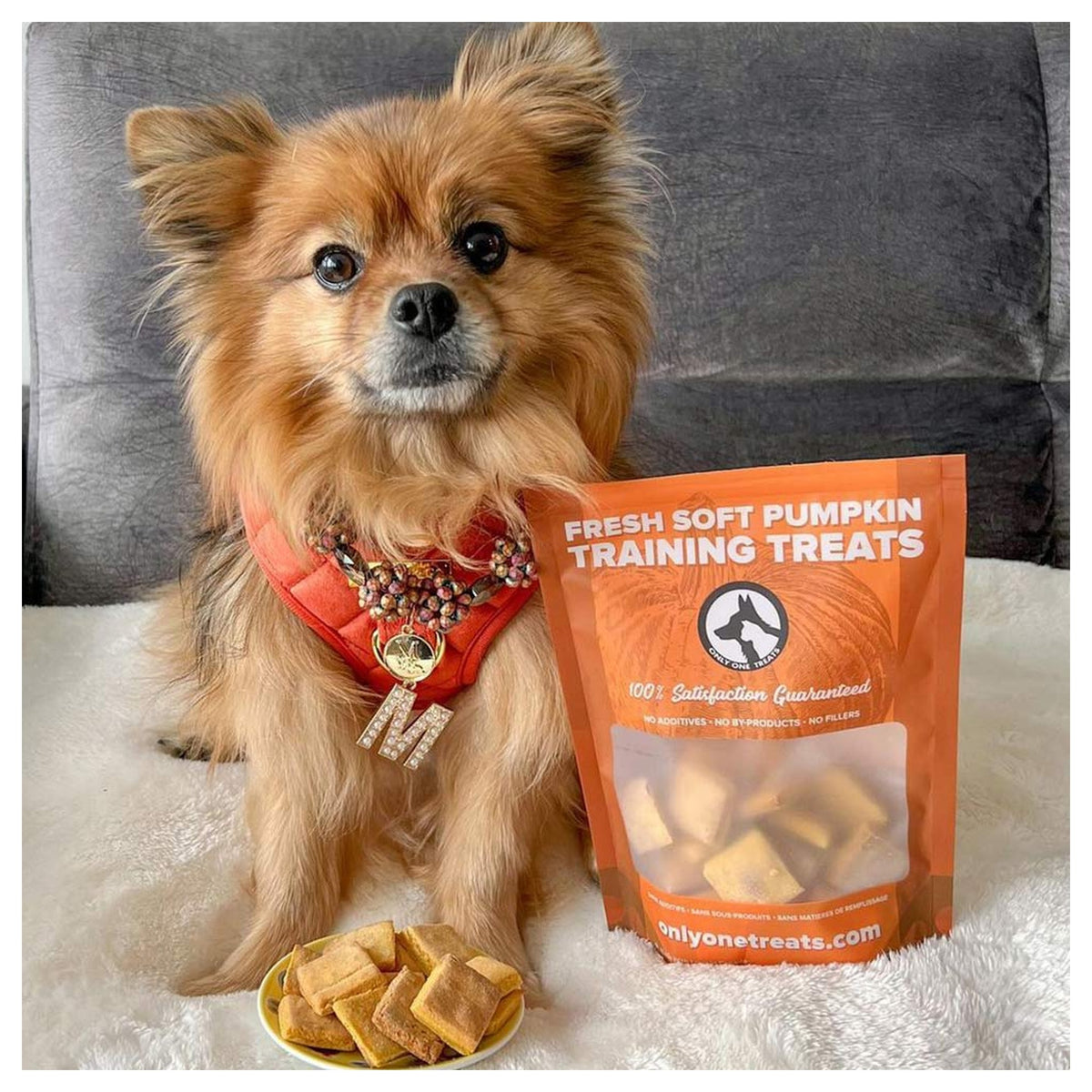 Only One Treats Fresh Soft Pumpkin Training Treats 170g｜貓狗零食｜加拿大直送-貓狗-毛孩物語Pets Thing｜香港寵物貓狗用品專門店：IATA寵物飛機籠、寵物手推車、貓爬架貓樹