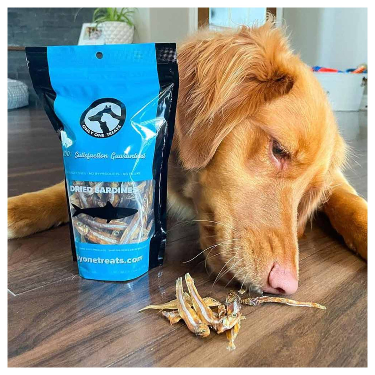 Only One Treats Dried Sardines 90g｜貓狗零食｜加拿大直送-貓狗-毛孩物語Pets Thing｜香港寵物貓狗用品專門店：IATA寵物飛機籠、寵物手推車、貓爬架貓樹