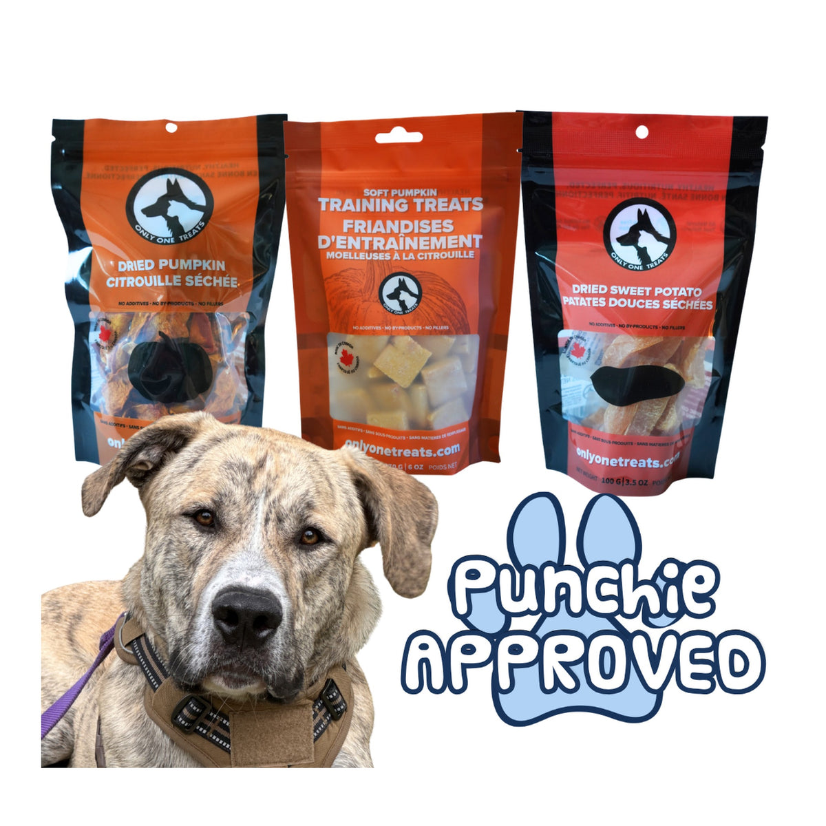Only One Treats Punchie's Pumpkin Platter Box｜狗狗零食及咀嚼小食｜加拿大直送-狗-毛孩物語Pets Thing｜香港寵物貓狗用品專門店：IATA寵物飛機籠、寵物手推車、貓爬架貓樹